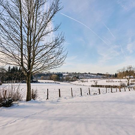Holiday Home Au Bord Du Lac 2 By Interhome Butgenbach Dış mekan fotoğraf